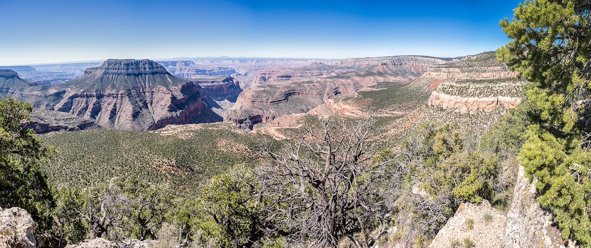 2014 October View from Timp Point