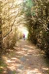 2015 April A Tunnel of Pines