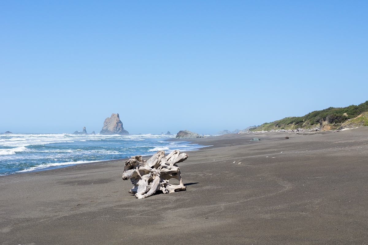 2015 April Cape Blanco State Park Beach