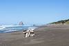 2015 April Cape Blanco State Park Beach