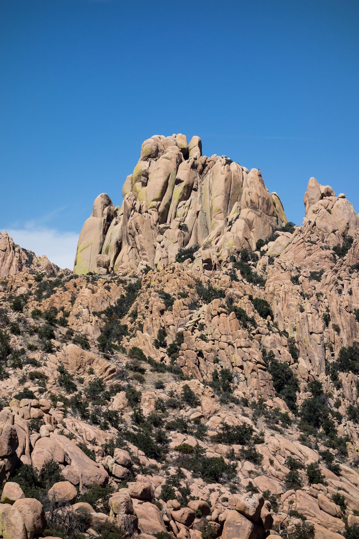 2015 April Rockfellow Group from the Cochise Trail