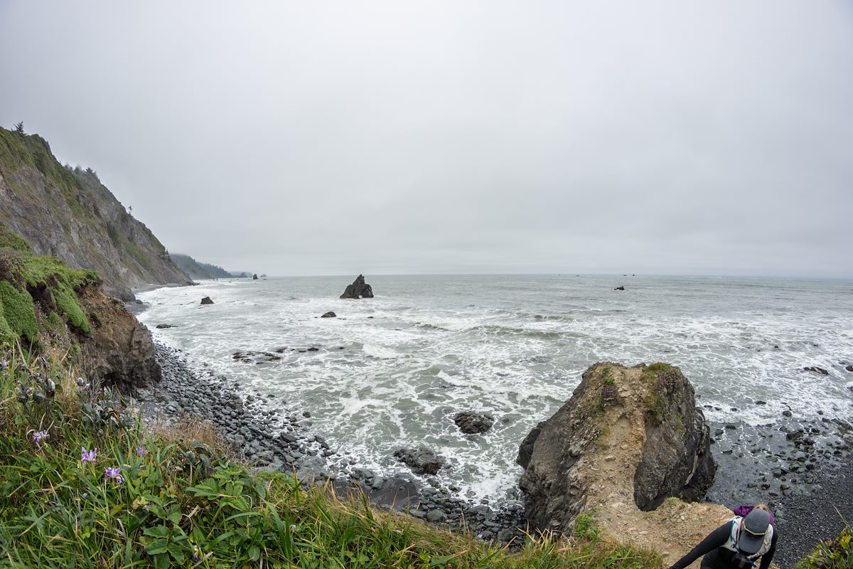 2015 May Damnation Creek Trail near the Ocean