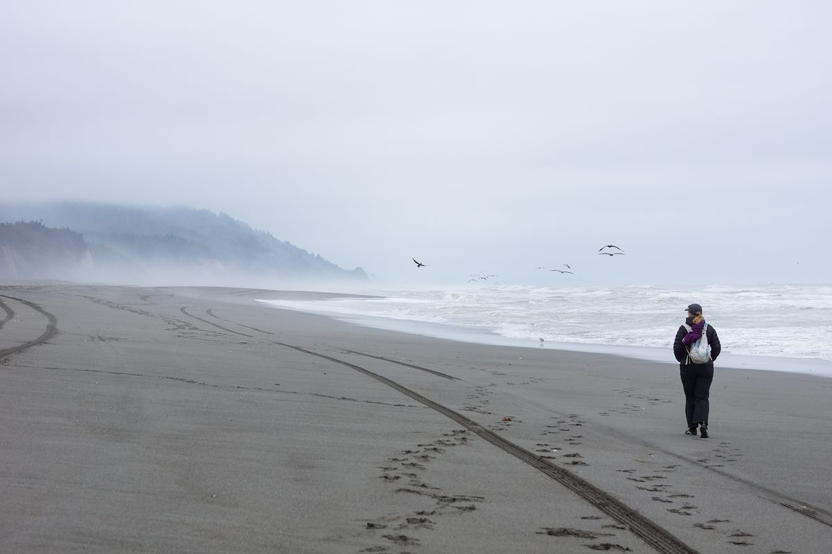 2015 May On the Beach near Gold Bluffs