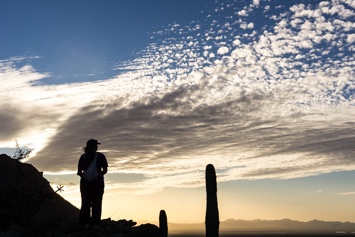 2015 November Close to Sunset near Gates Pass