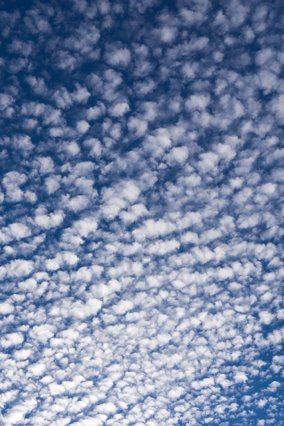 2015 November Clouds from near Gates Pass