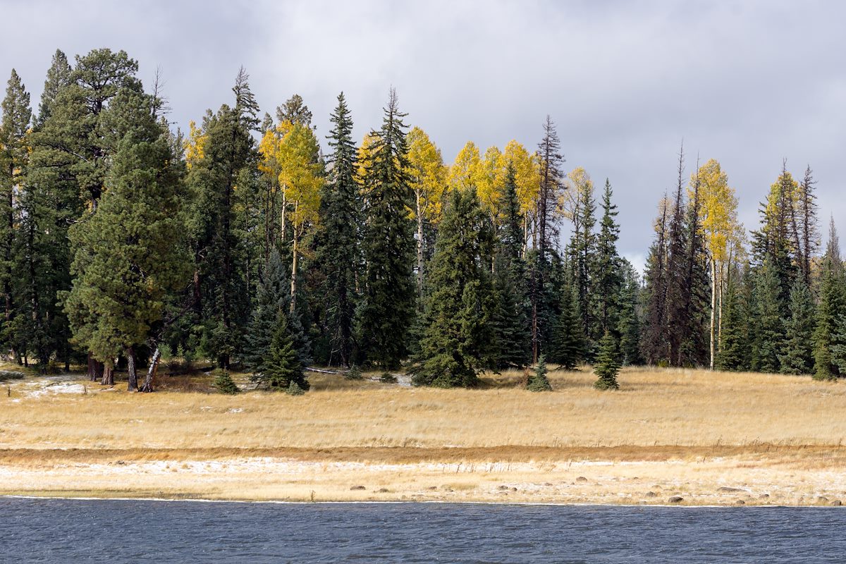 2015 October Fall Color at the Lee Valley Reservoir