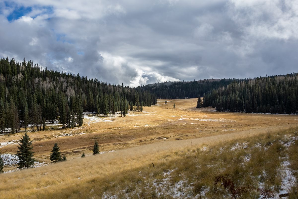 2015 October Little Colorado from the East Baldy Trail