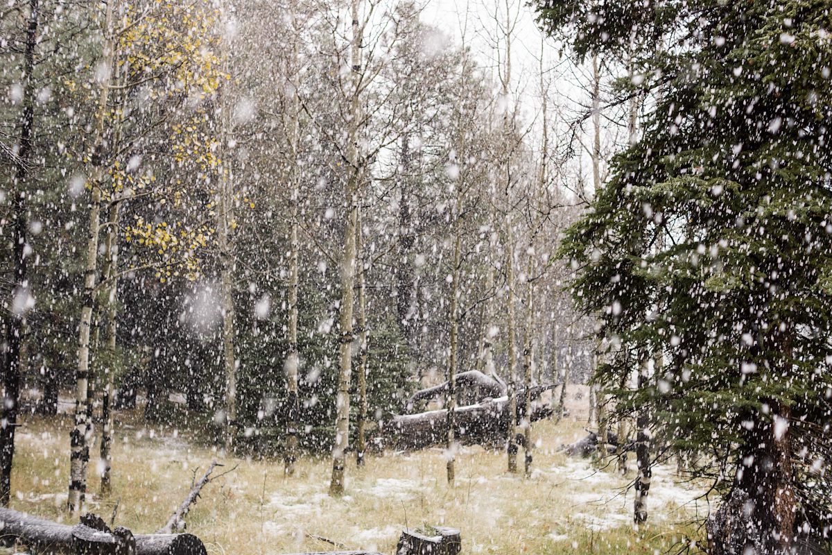 2015 October Snow Storm at the West Baldy Trailhead