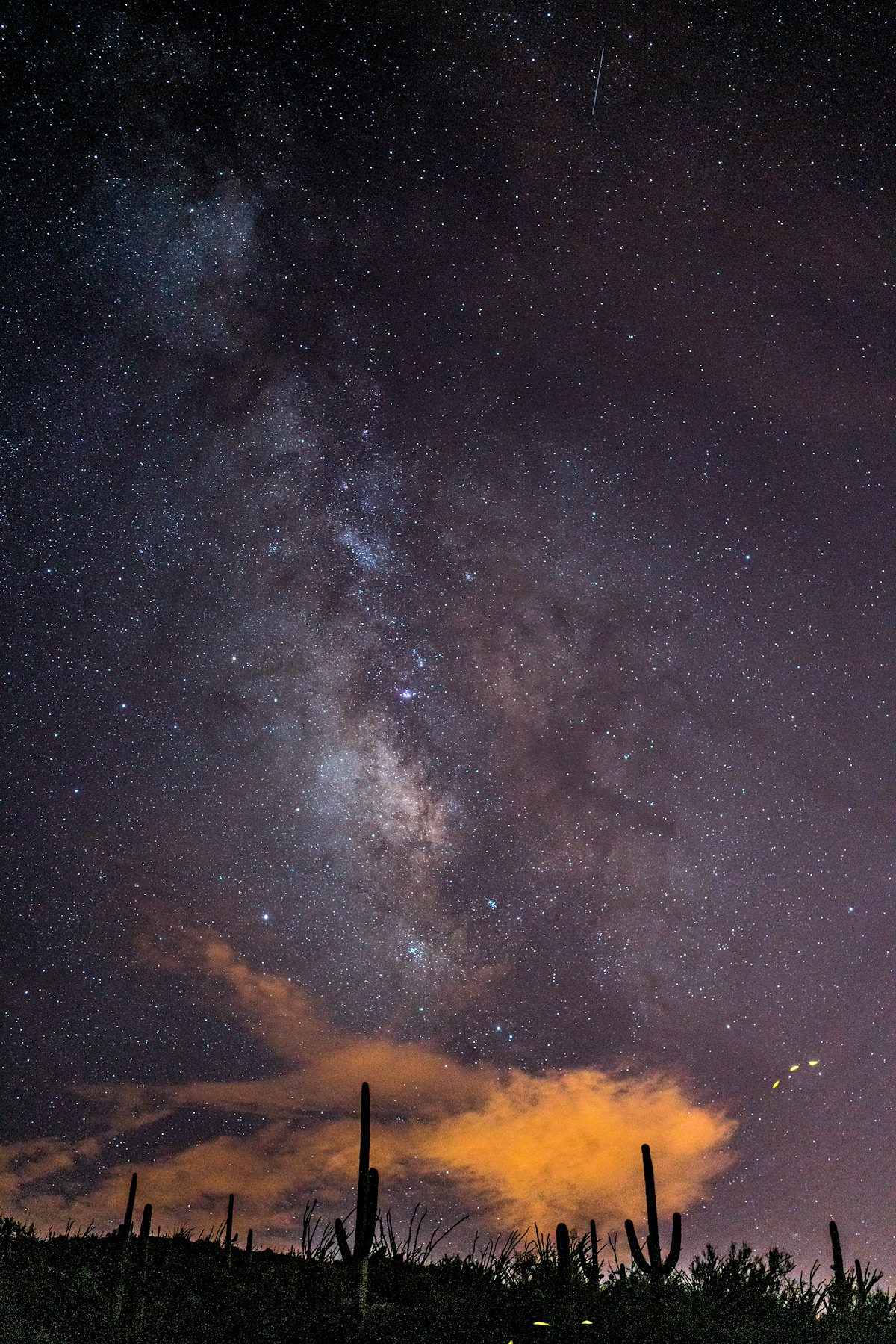 2016 August Milky Way and Fireflies from Garwood Dam