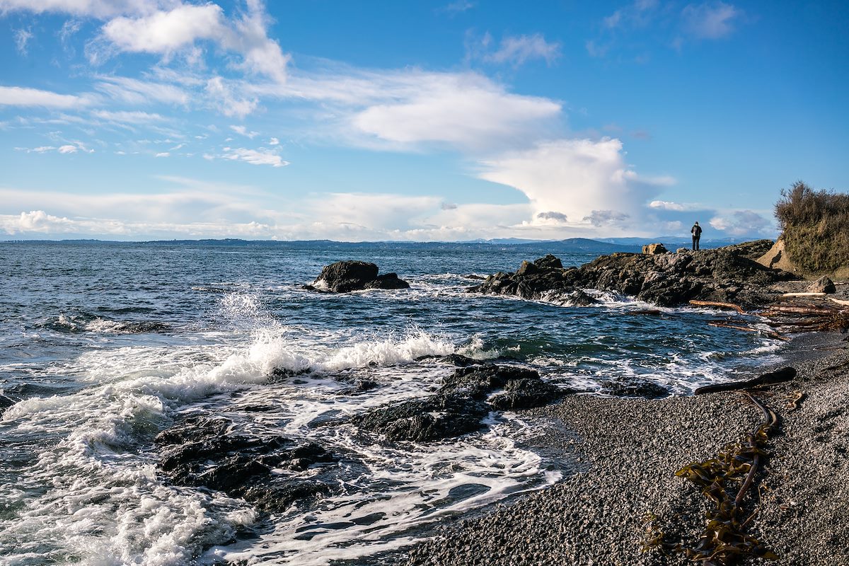 2016 December Deadman Bay near Lime Kiln State Park on San Juan Island