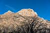 2016 February Granite Mountain from the Granite Mountain Trail