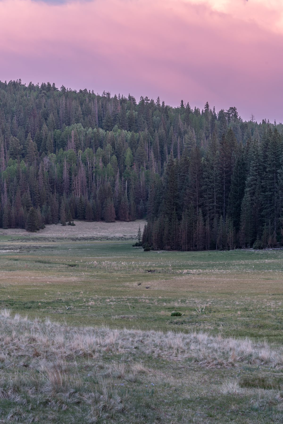 2016 June End of the Day on the East Baldy Trail