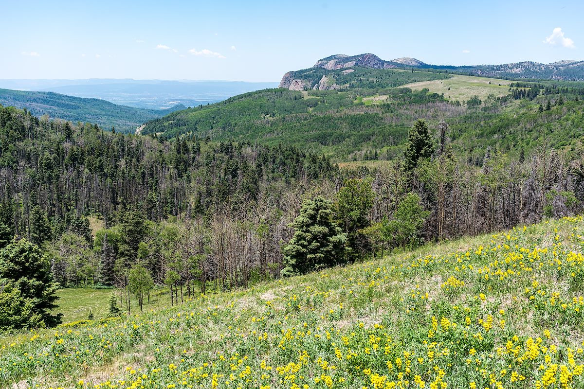 2016 June On the Drive from Taos to Mesa Verde