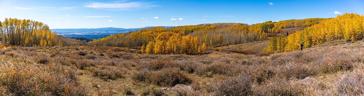 2016 October Aspens Near the Deer Creek Trail 02