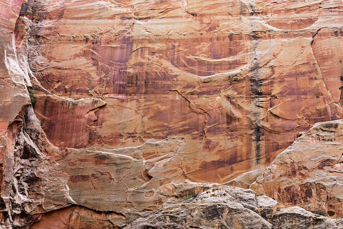 2016 October Canyon Wall in Capitol Reef