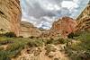 2016 October Side Canyon North of Grand Wash