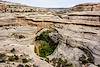 2016 October Sipapu Bridge in Natural Bridges National Monument