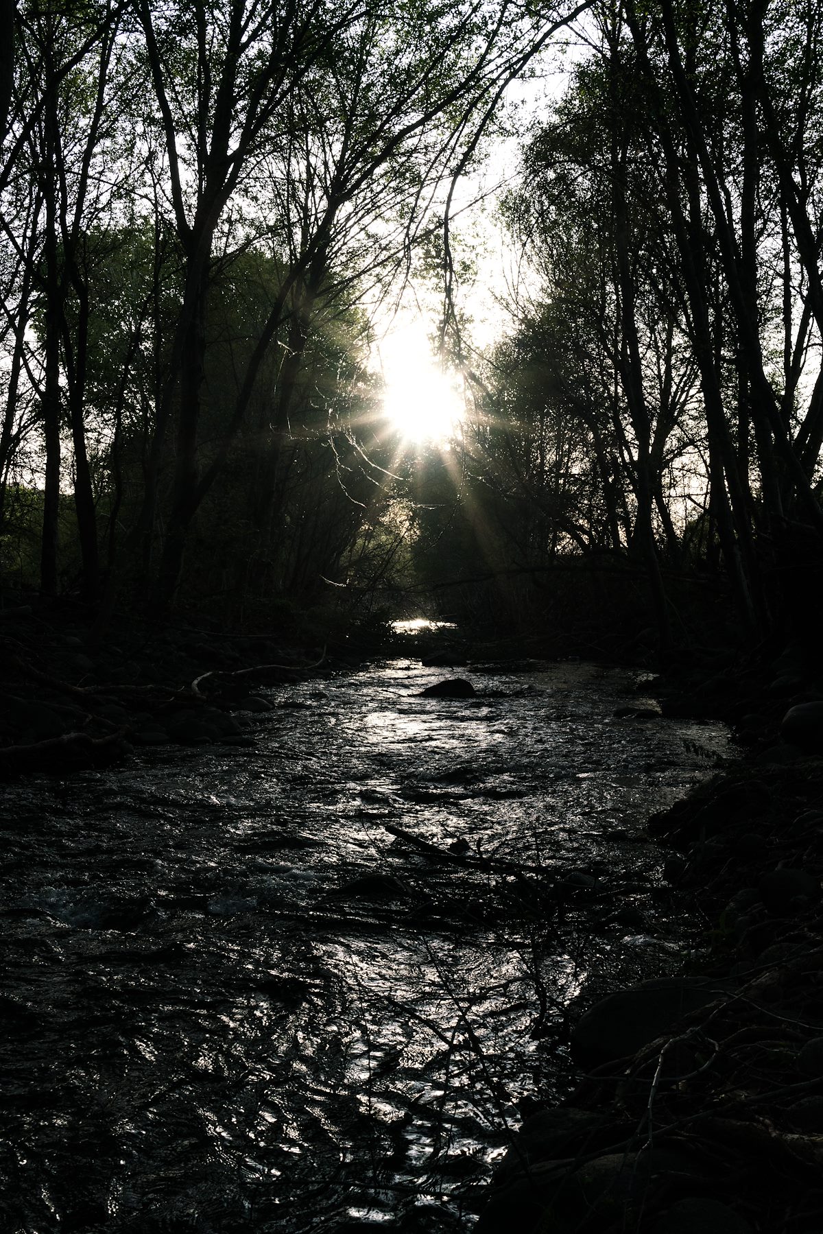 2017 April End of the Day on West Clear Creek