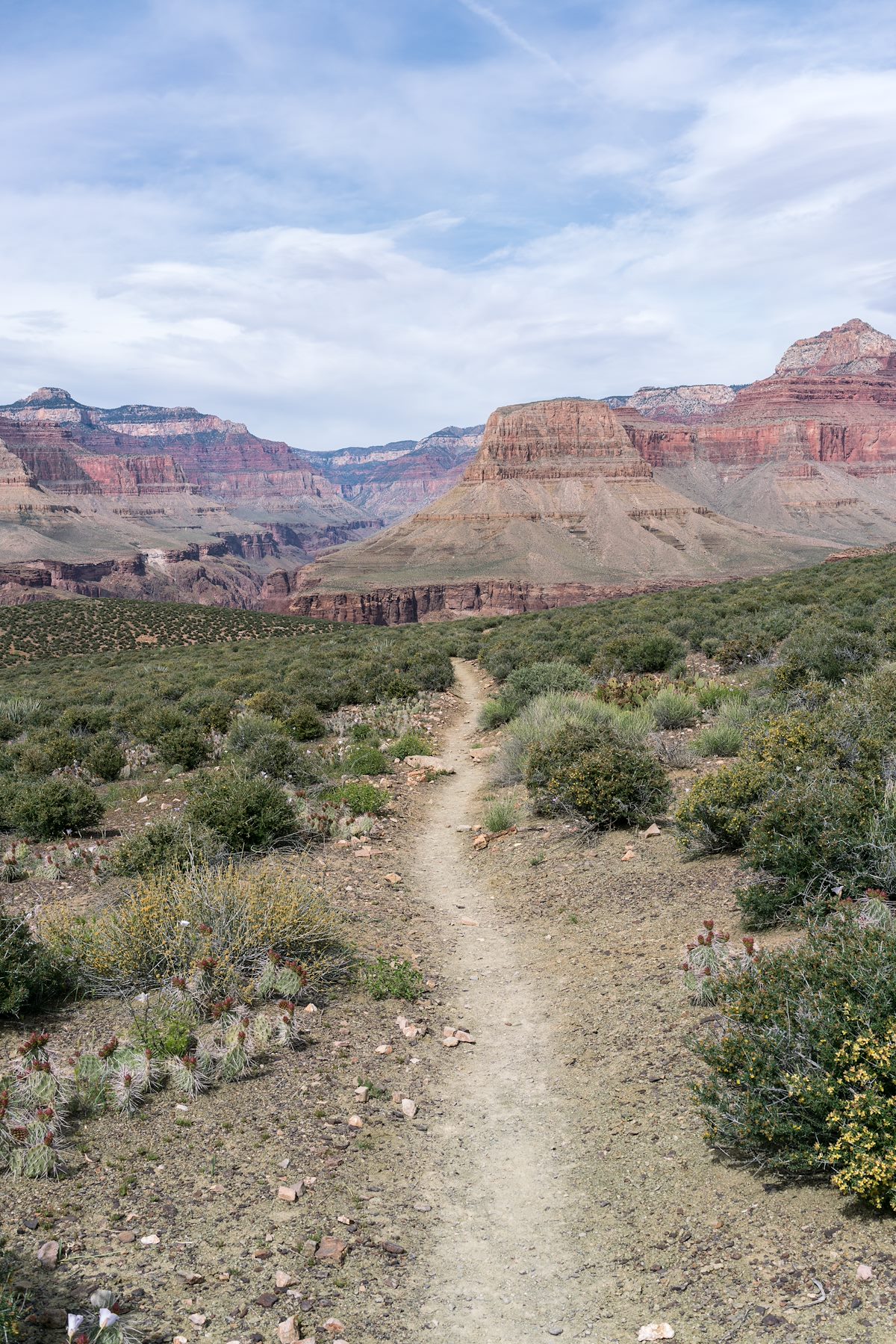 2017 April Tonto Trail