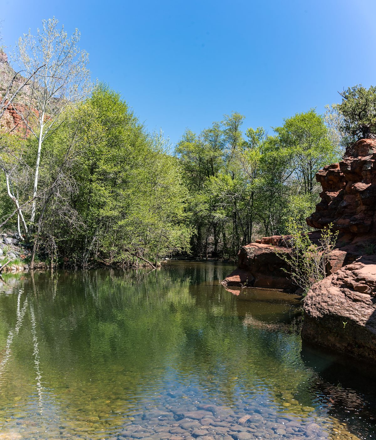 2017 April West Clear Creek