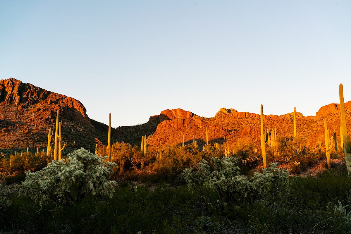 2017 January Tucson Mountains