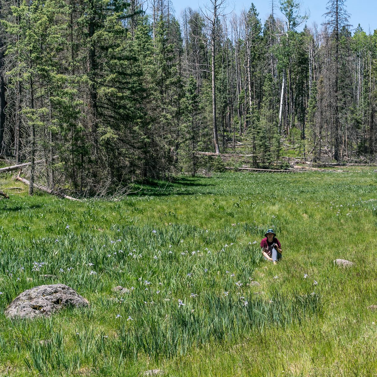 2017 June A Break on the way to Alpine and then into NM