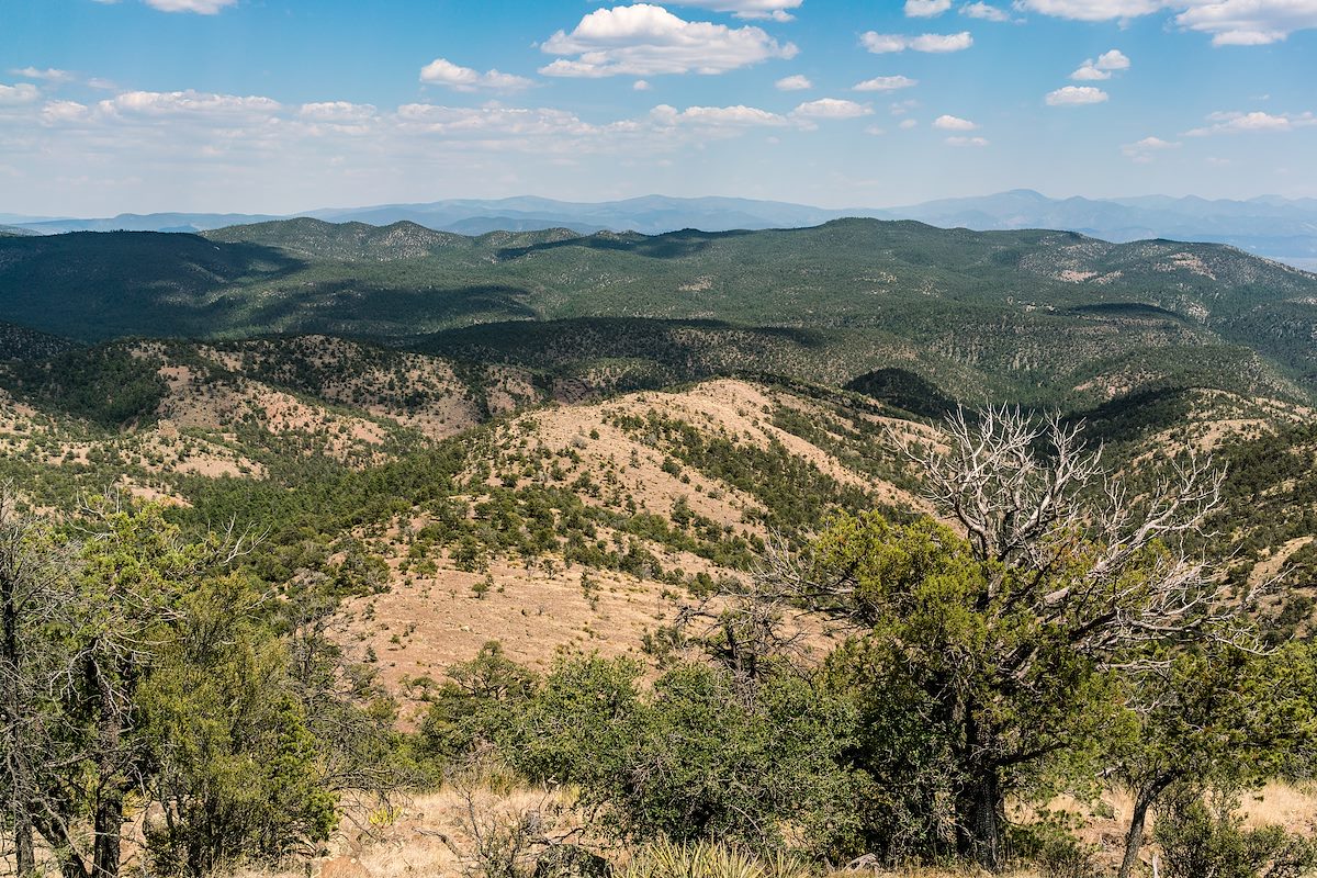 2017 June Bear Wallow Mountain in the distance