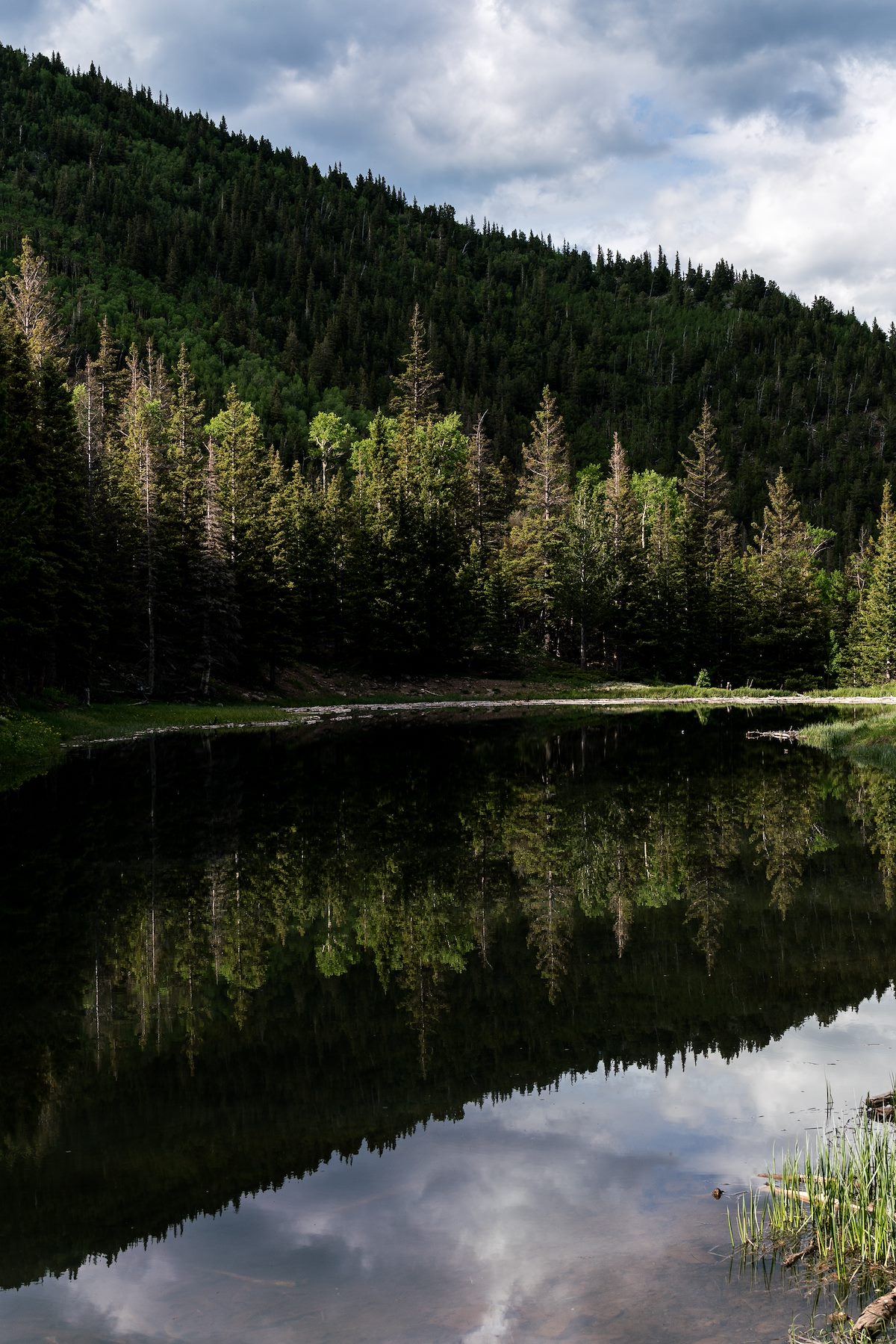 2017 June Lower Blue Lake Reflection