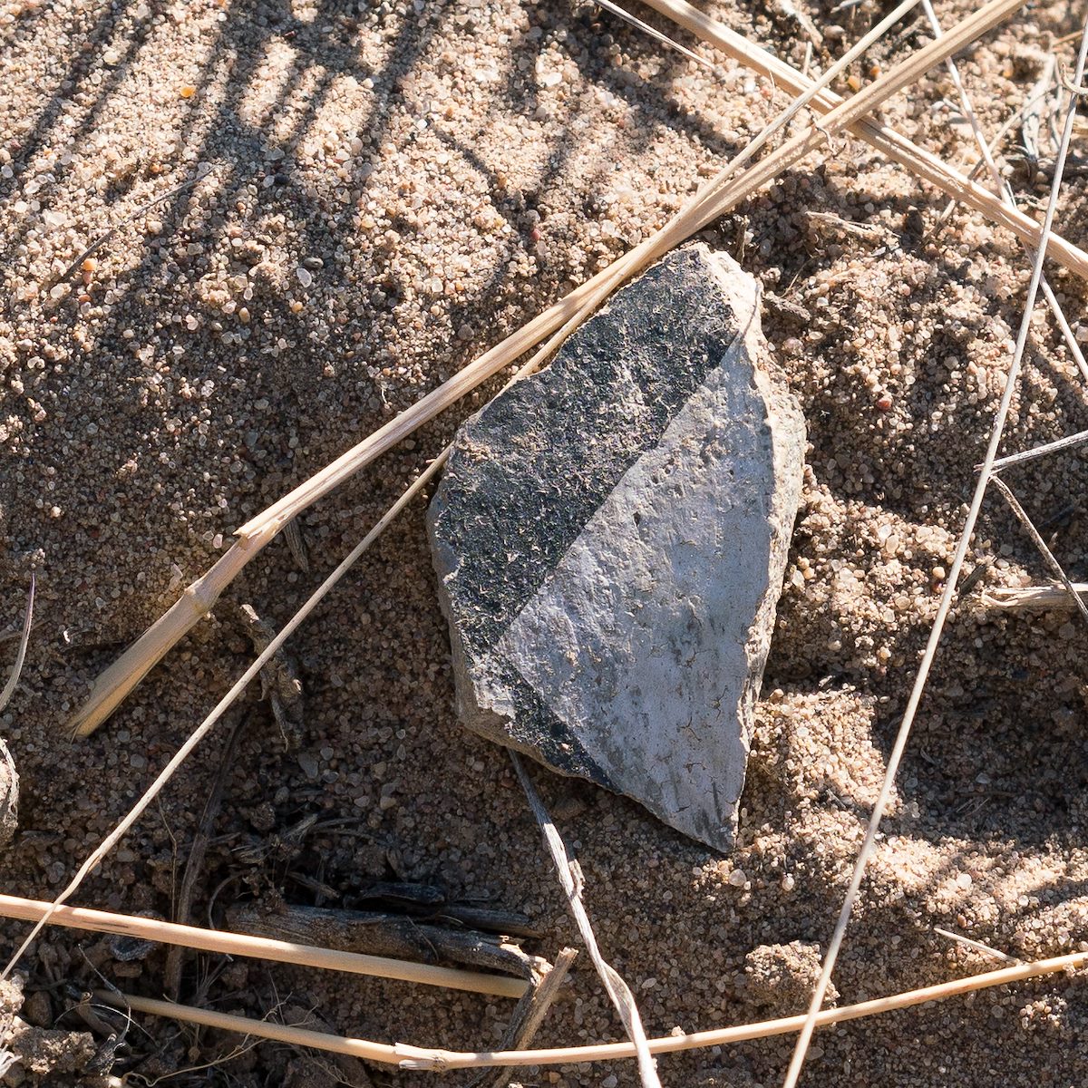 2017 June Pottery in the Armijo Canyon Area