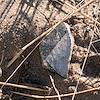 2017 June Pottery in the Armijo Canyon Area