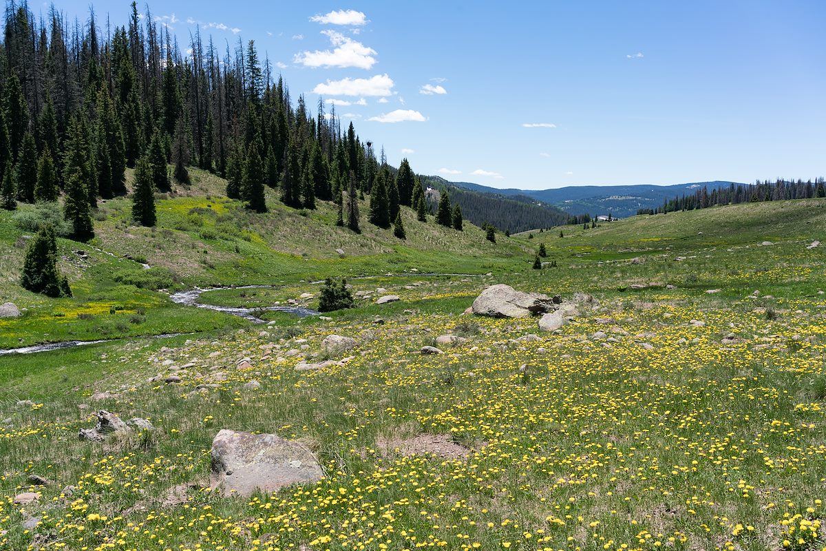 2017 June San Juan Mountains