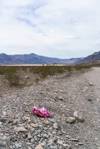 2018 April Balloon Trash on Racetrack Valley Road