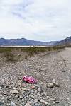 2018 April Balloon Trash on Racetrack Valley Road