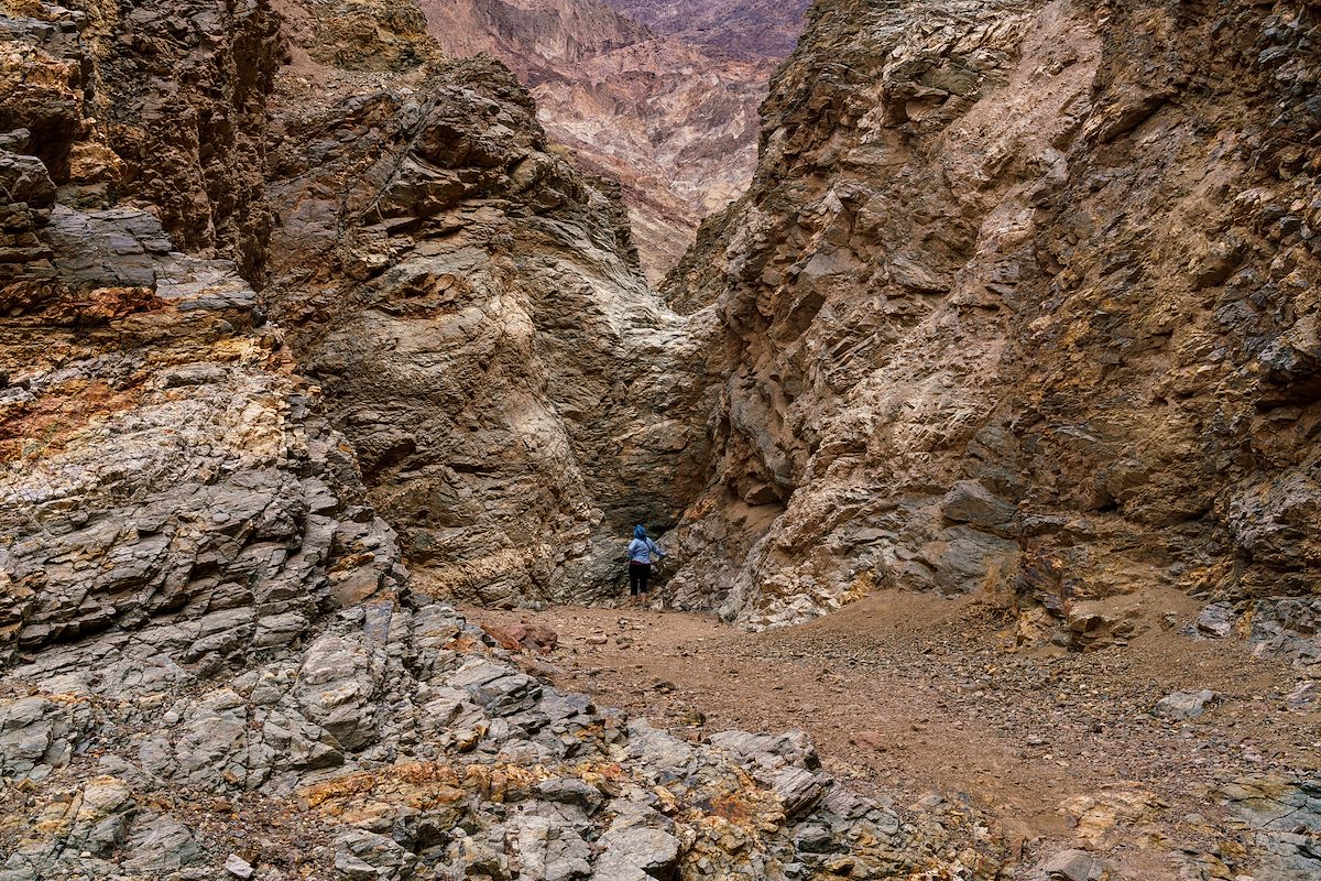 2018 April In Natural Bridge Canyon