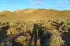 2018 April Last of the sun on Emigrant Canyon Road