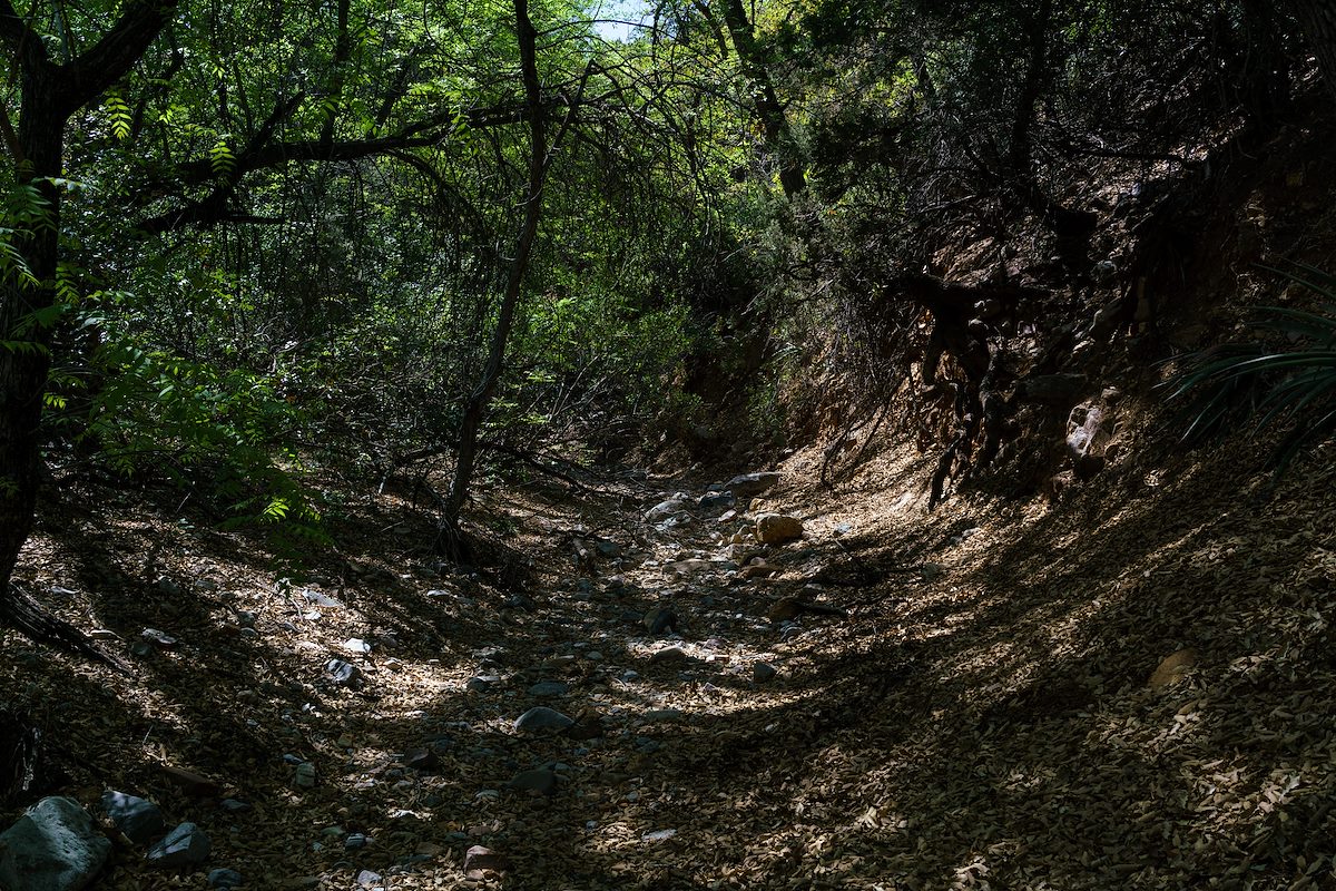 2018 April Shadows and Sun in French Joe Canyon