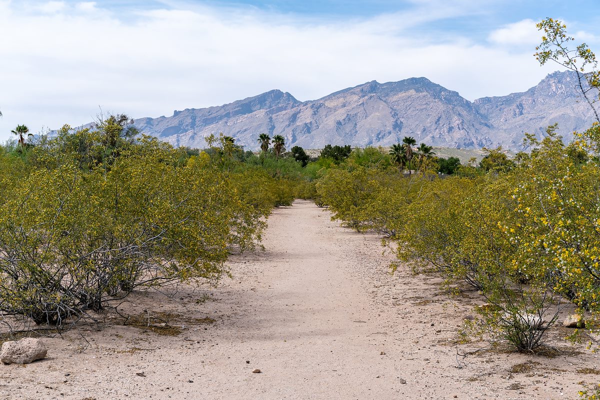 2018 April Vista Del Rio Cultural Resources Park