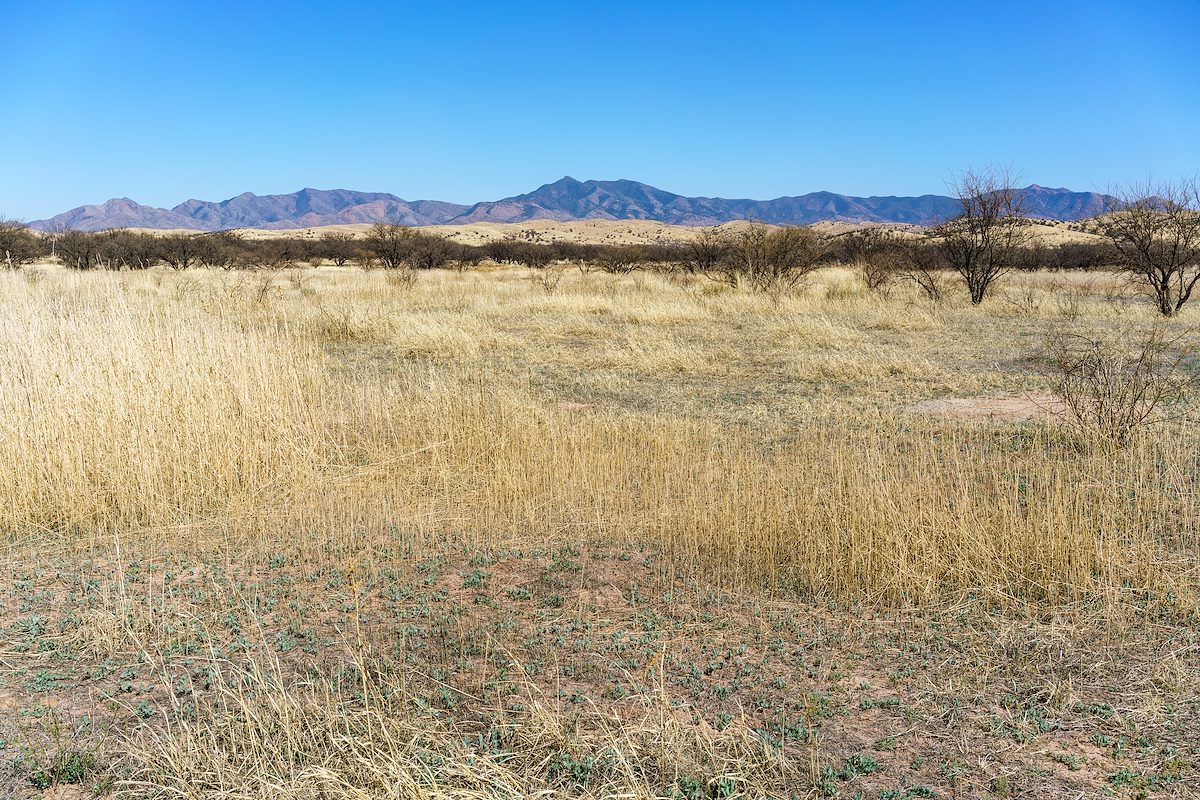 2018 April Whetstone Mountains from near Cinega Creek