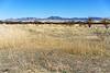 2018 April Whetstone Mountains from near Cinega Creek