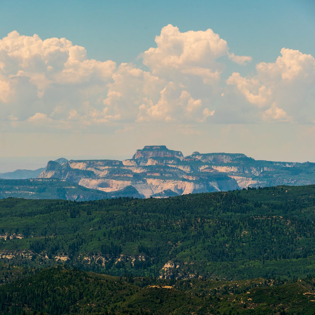 2018 August Zion in the distance from the Cascade Falls Trail