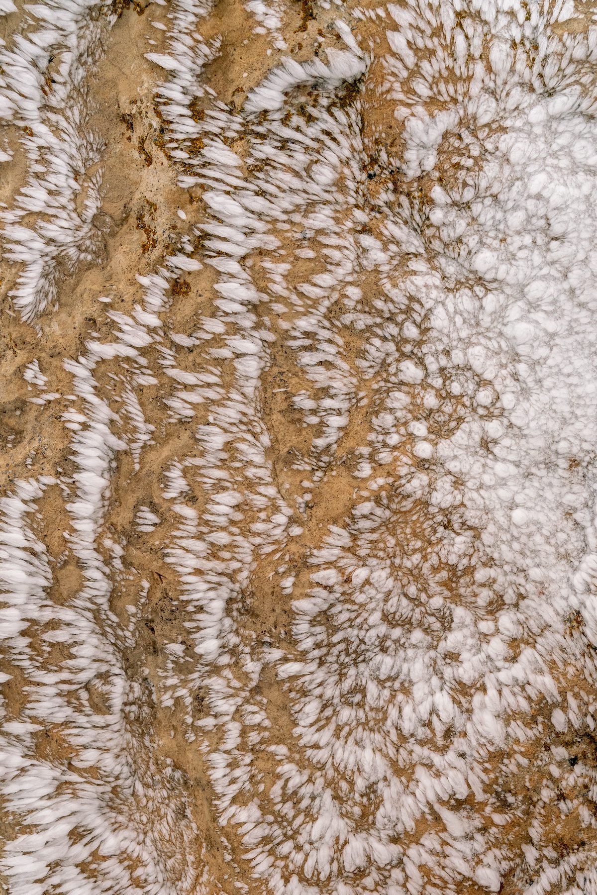 2018 December Ice on Shoshone Point