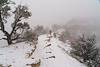 2018 December Walking out onto Shoshone Point