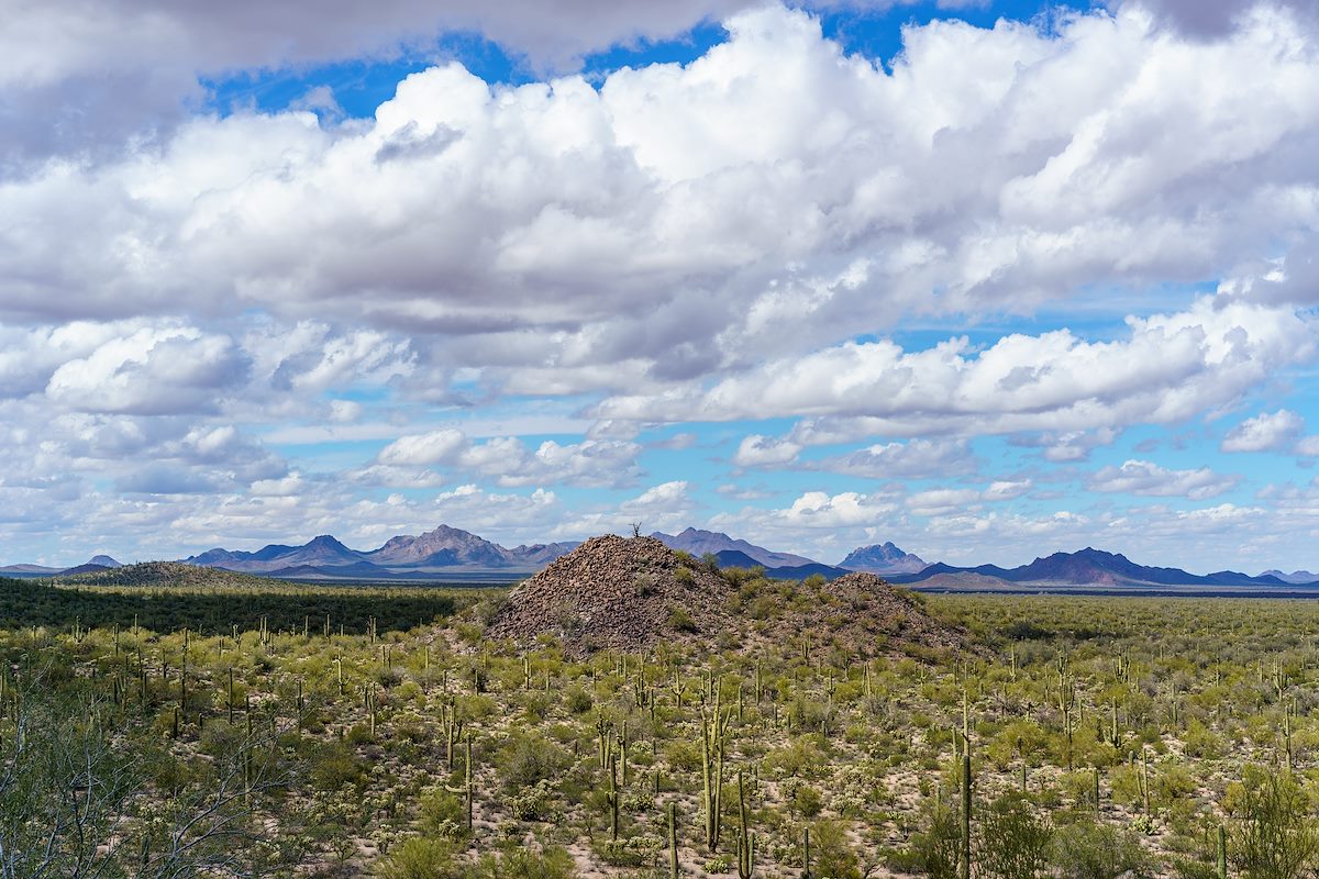 2018 March Cocoraque Butte