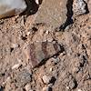 2018 March Pottery Fragment in Vista del Rio Cultural Park