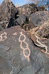 2018 May Inscription Hill Petroglyphs-12