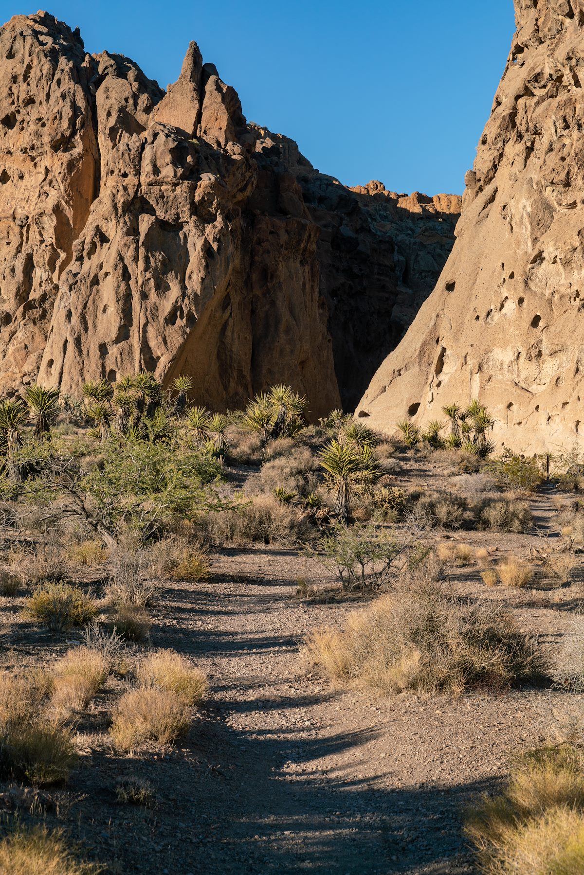 2018 October Banshee Canyon in Mojave National Preserve