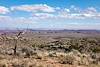 2018 October Little Colorado River from near Cedar Mountain