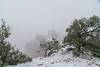 2018 October Snow on Shoshone Point