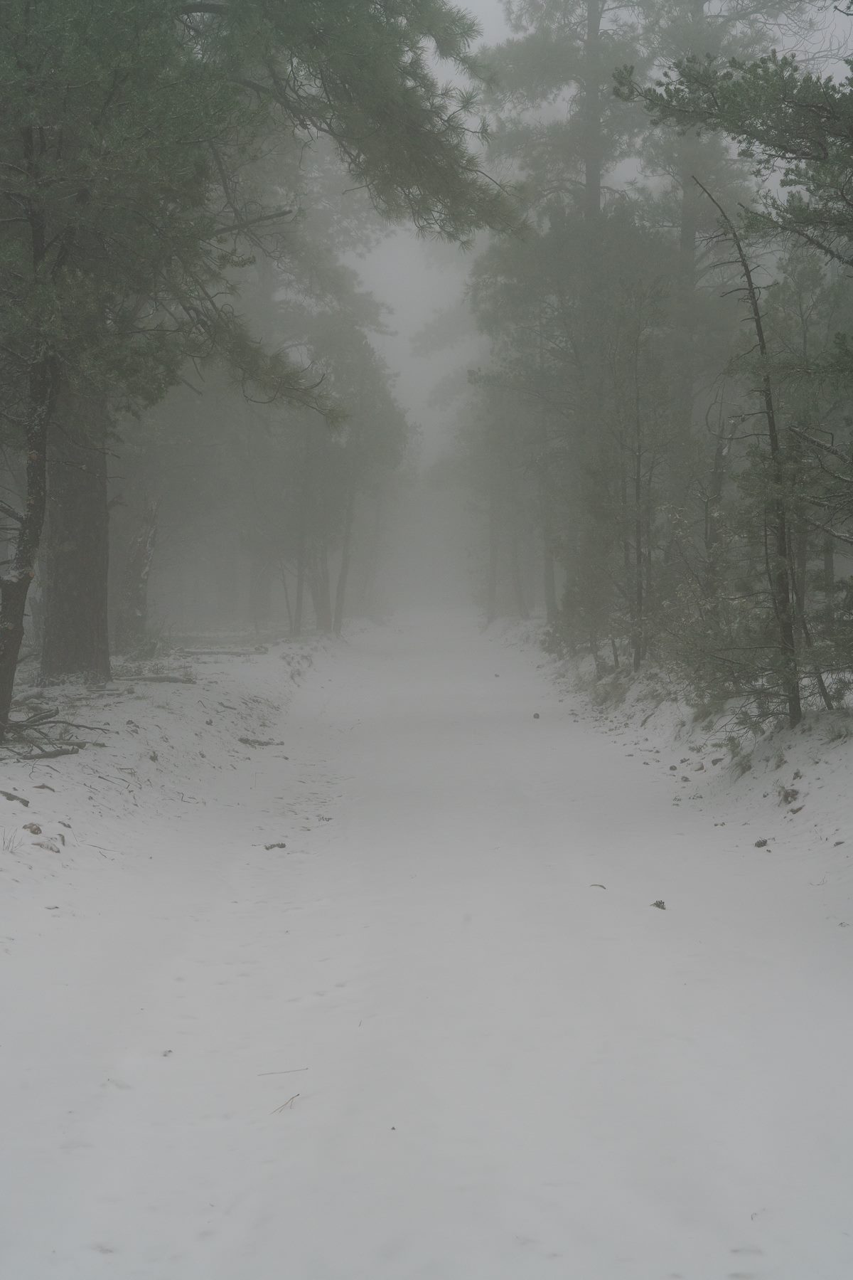 2018 October Snow on the road to Shoshone Point