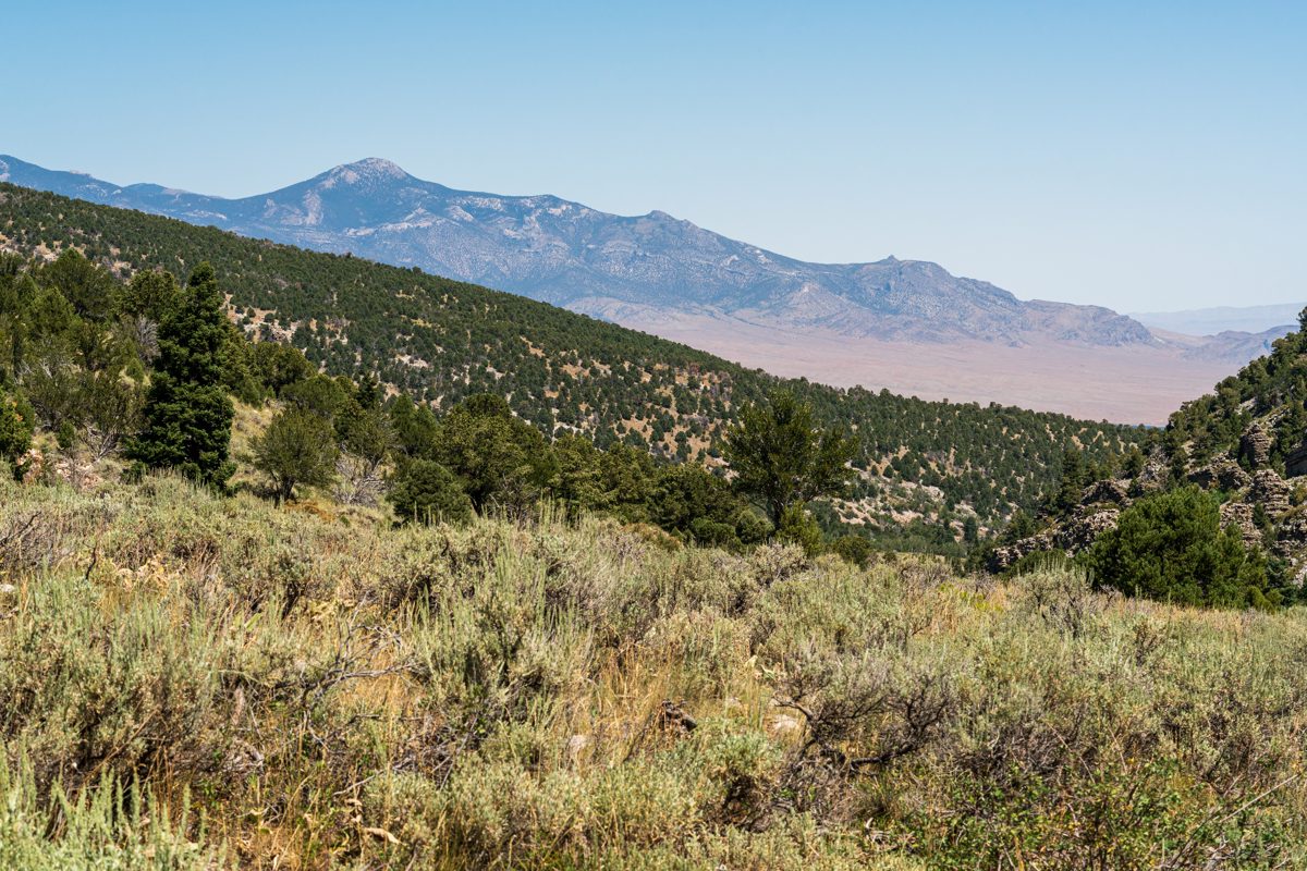 2019 August Baker Creek Trail in Great Basin National Park